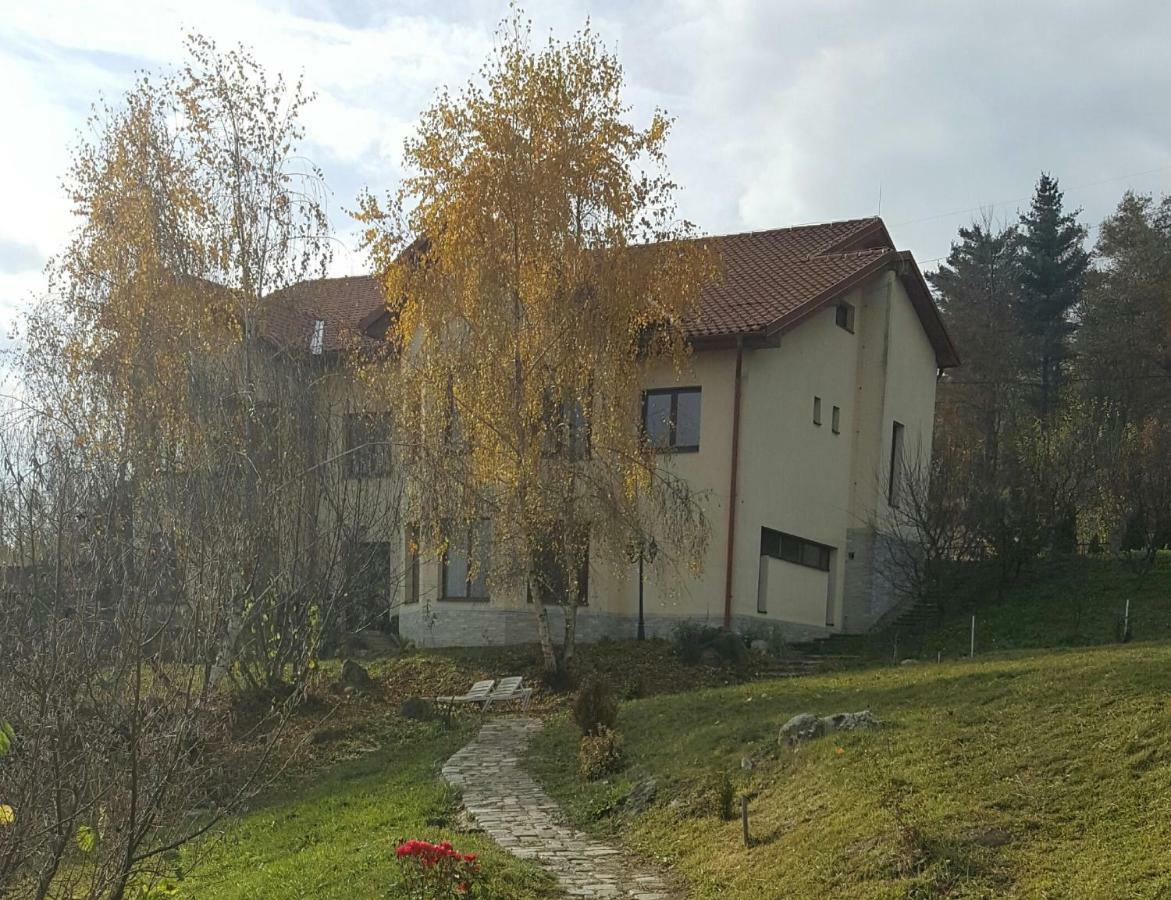 Trovanti apartment Feleacu Esterno foto